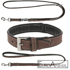 Hunde-Halsband California