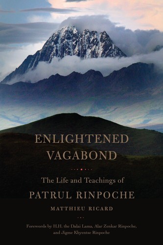 Enlightened vagabond matthieu - vagabond,