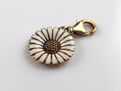Anhänger silber sterling - silber,