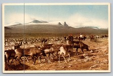 Vintage Lappland Reindeer