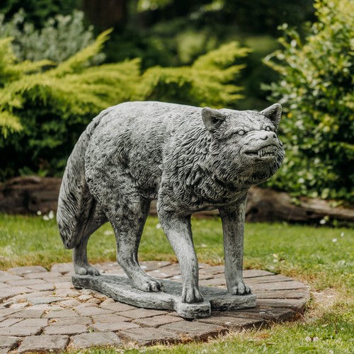 Imposanter wolf raubtier - imposanter,