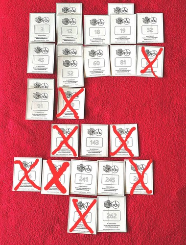 Panini fcn 125 jahre - panini,