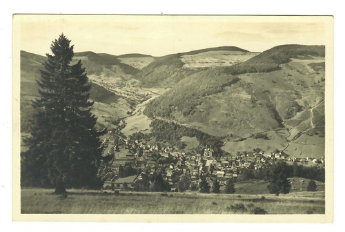 Todtnau panorama 12218 - todtnau,, panorama,