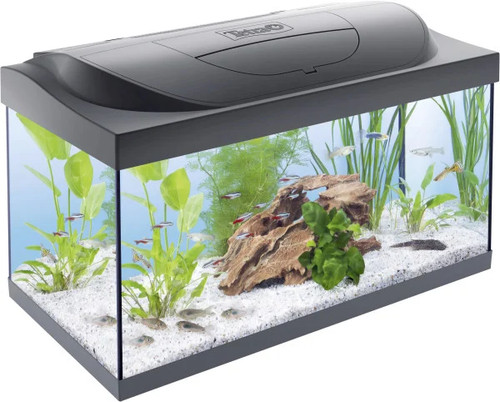 Tetra starter line aquarium - tetra,