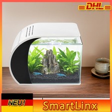 Kleines Glas-Aquarium