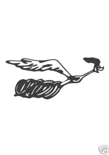 Road runner stück rechts - runner, 2