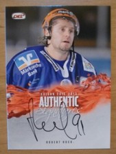 DEL 2012/13 Authentic