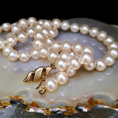 Perlenkette muschelkern creme - muschelkern,