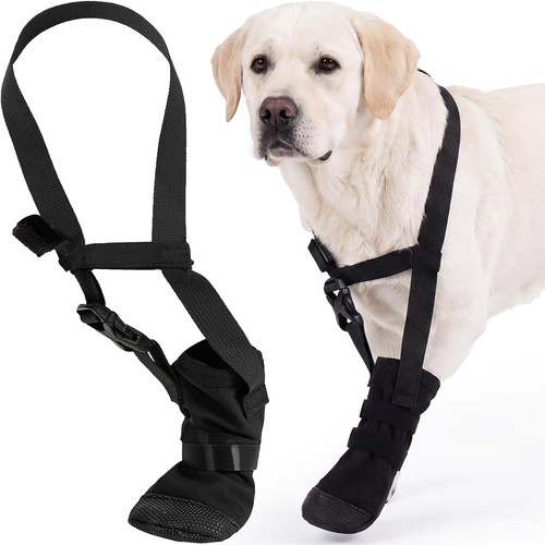 Pfotenschutz hund winter - hund,