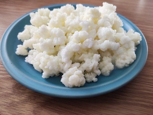 Kefir kefirknolle - kefir,,