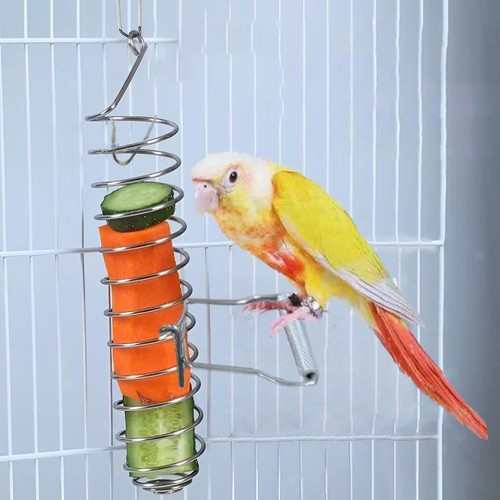 Papagei korb vogel futtersuche - papagei,