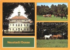 Neustadt Dosse Stuten Fohlen