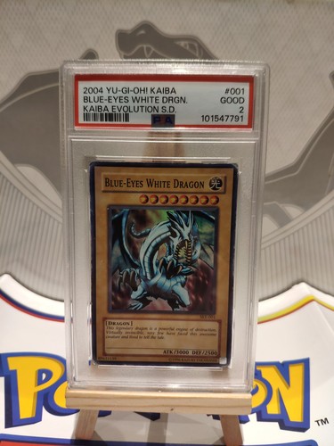 Blue eyes white dragon ske - blue-eyes,