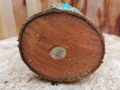 Pflaume drechselholz 5 - pflaume, 25×9,5