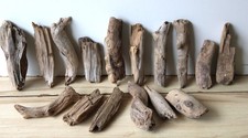 Treibholz Schwemmholz Driftwood 16 kleine   Hölzer  Basteln 13 -  19 cm *GER*