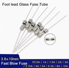 Fußblei Sicherungsrohr schnelles Blasen 3,6x10mm 250V F0,5 A/1/1,5/2/4/6,3/8/10A