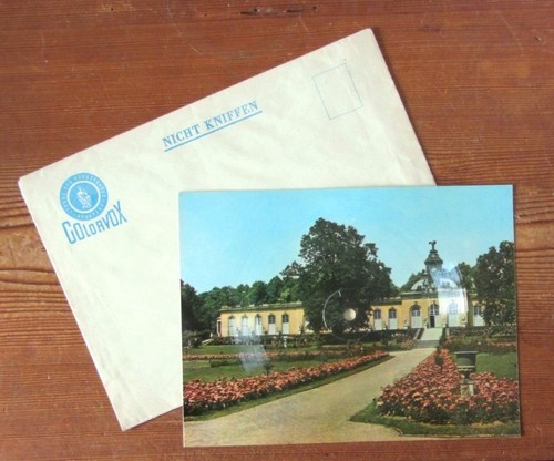 Dunkelrote rosen gasparone - dunkelrote,