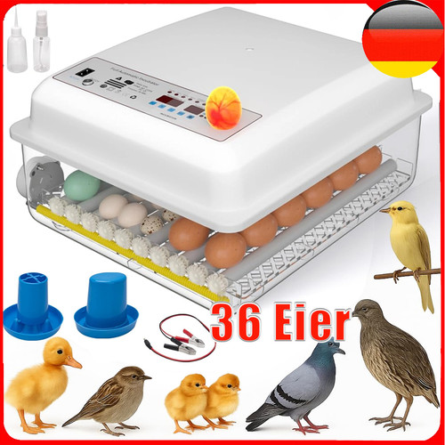 Inkubator brutkasten - inkubator,
