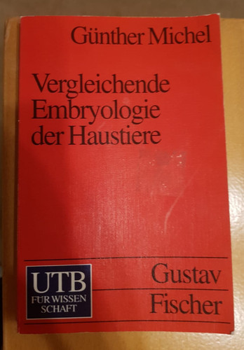 Günther michel - michel,