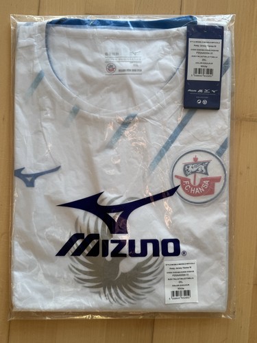 Hansa rostock trikot - fc,
