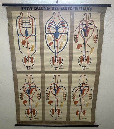 Schulwandkarte ddr rollkarte - ddr,