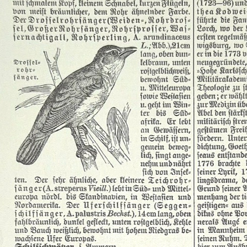 Alte lithografie - alte,