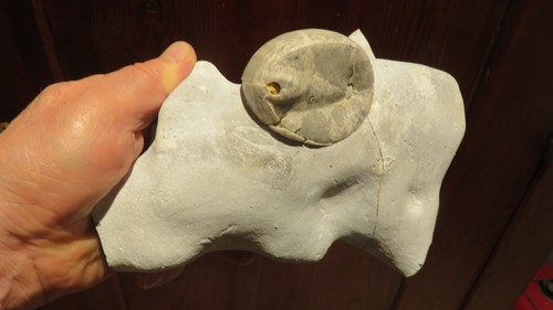 Feuerstein flint silex - feuerstein,
