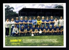 Schalke mannschaftskarte - fc,