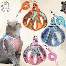 Katzengeschirr mit Leine