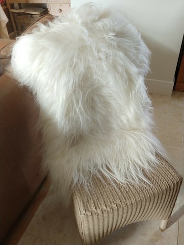 Natural white real icelandic - natural,