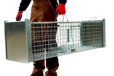 Fuchsfalle Waschbärfalle