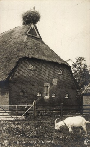 Ruhwinkel schleswig - ruhwinkel,
