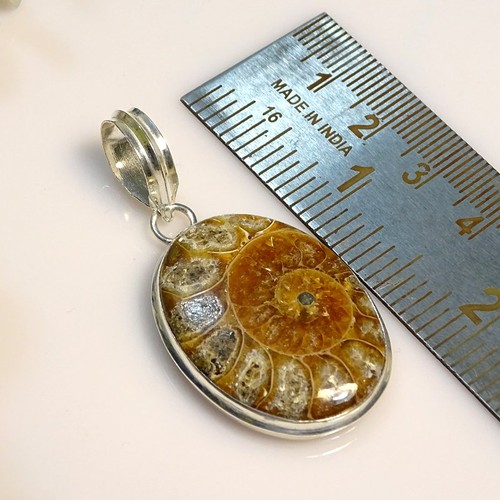 Ammonit fossil oval edelstein - ammonit,