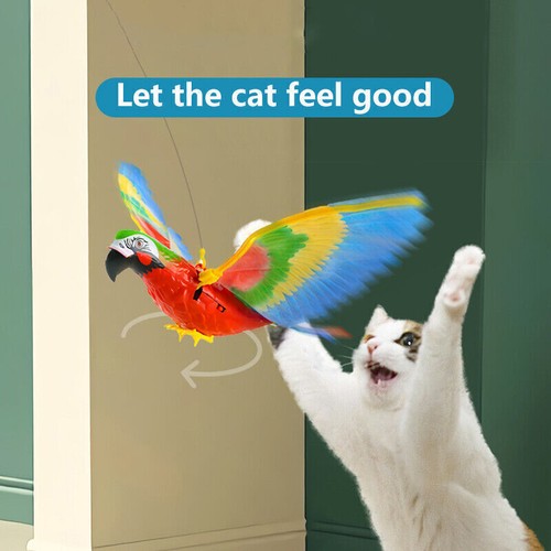 Elektrisch interaktives katzen - interaktives,