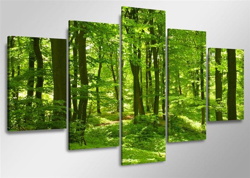 Bild tlg wald visario - 5,