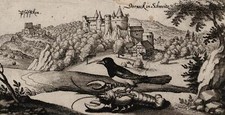 DORNACH - Gesamtansicht -