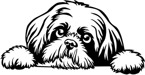 Shih tzu aufkleber - shih-tzu,