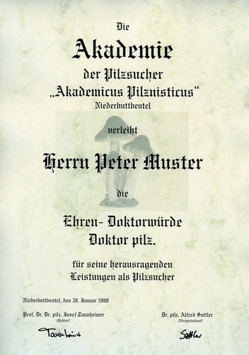 Urkunde diplom ehren doktor - diplom,