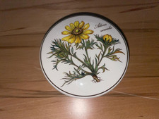 Villeroy&Boch Deckeldose  Botanica  Adonis Vernalis Dm. ca. 10 cm Höhe ca. 6 cm