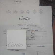 Echte Cartier Santos