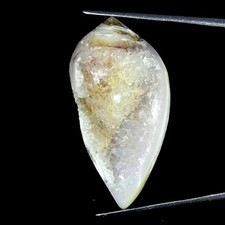 68.60Cts Natürlich Fossil