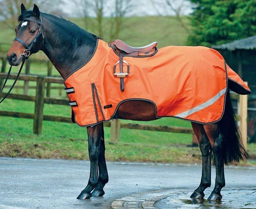 Viz pferd übungsblatt - hi-viz,