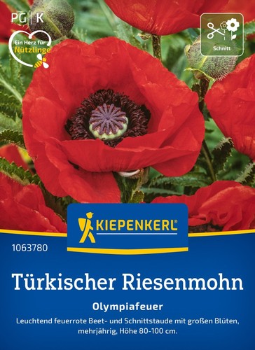 Türkischer riesenmohn - türkischer, "