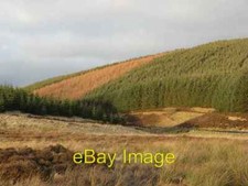 Foto 6x4 Paddock Slack