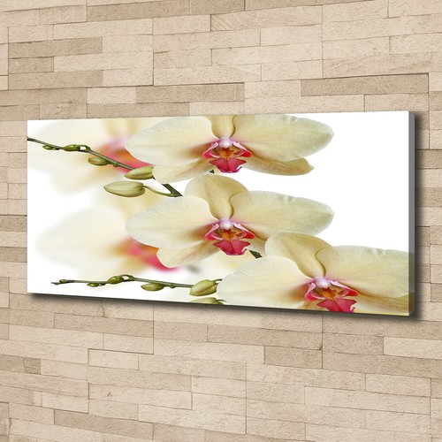Leinwandbild kunst druck - leinwandbild, kunst-druck