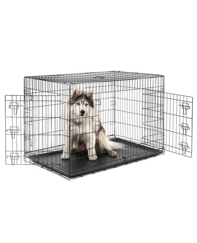 Ware lionto - b-ware:,
