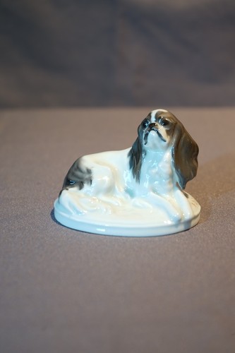 Rosenthal hund king charles - rosenthal,