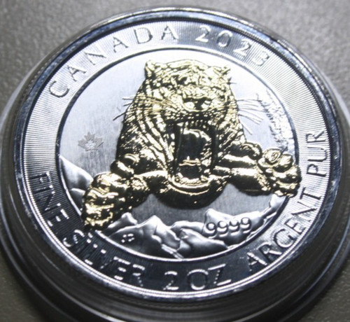 Kanada dollars 2023 - 10, silber