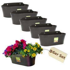 6x Wand Blumentopf im Set