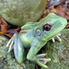 Frosch Figur Garten M Grün